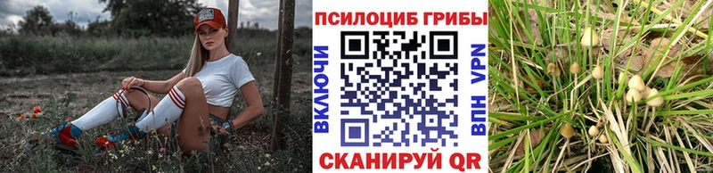 Галлюциногенные грибы Magic Shrooms  где можно купить наркотик  omg зеркало  Мураши 